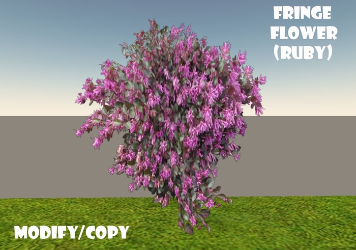1 Prim Fringe Flower (Ruby)