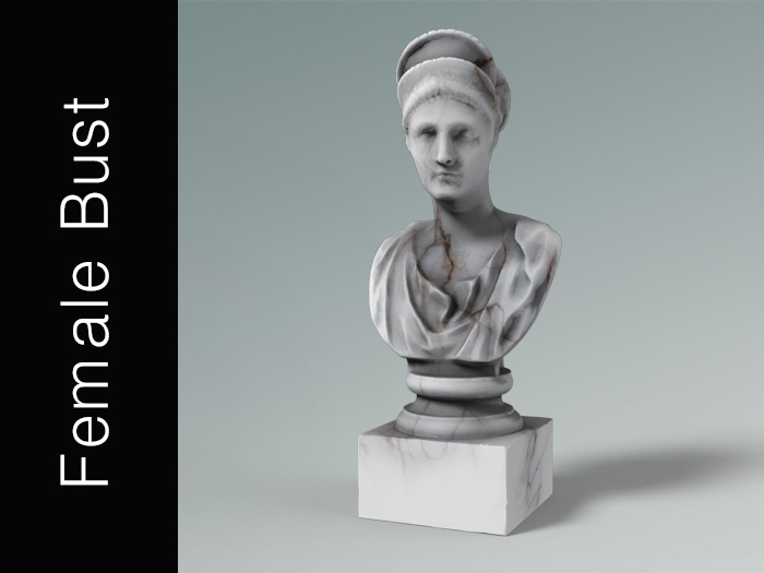 Female Bust