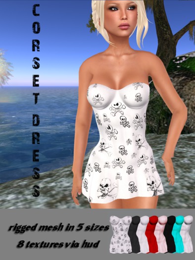 Mesh Corset Dress