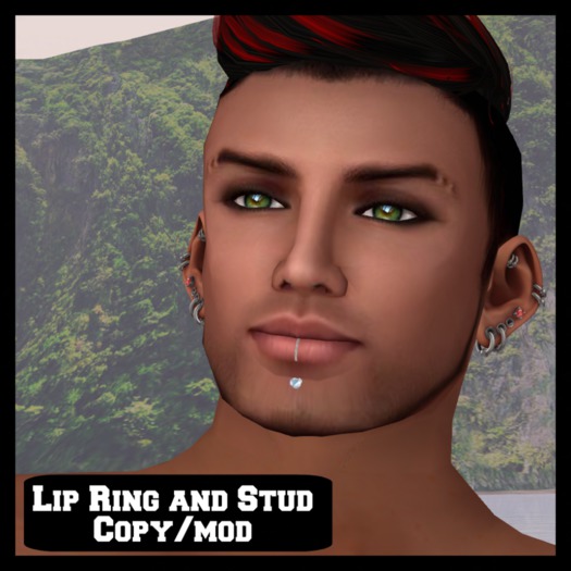 Lip Ring and Stud