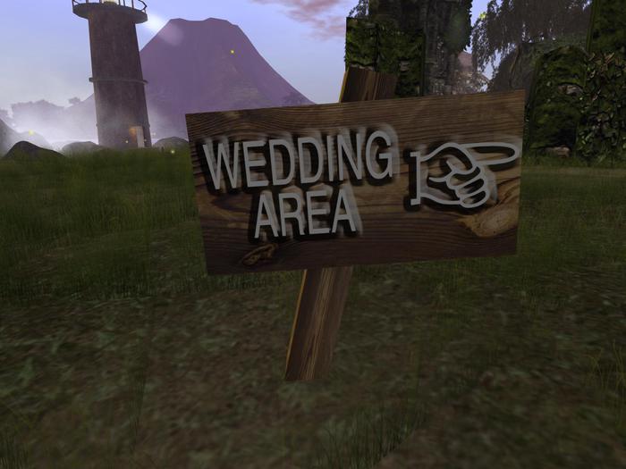 Wedding Signs Post Party Bride Groom MM