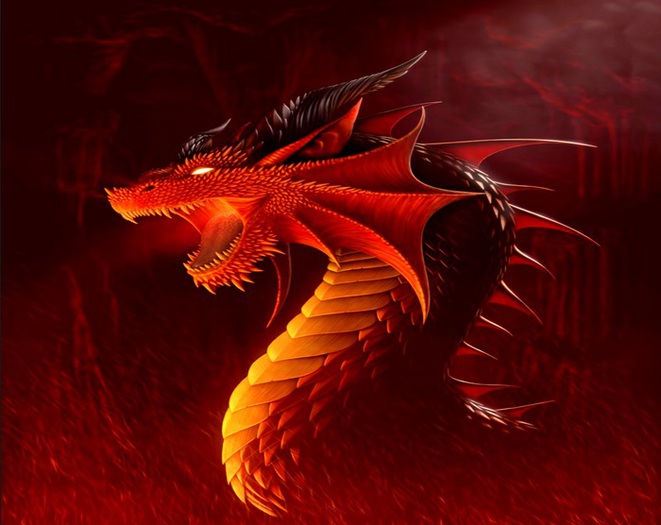 Fire Dragon Picture