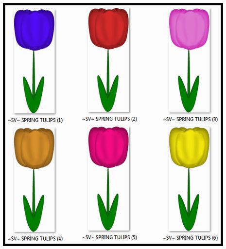 6 Spring Tulip Textures