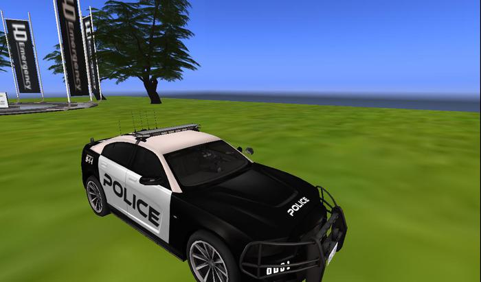 Enforcer Police Paint 