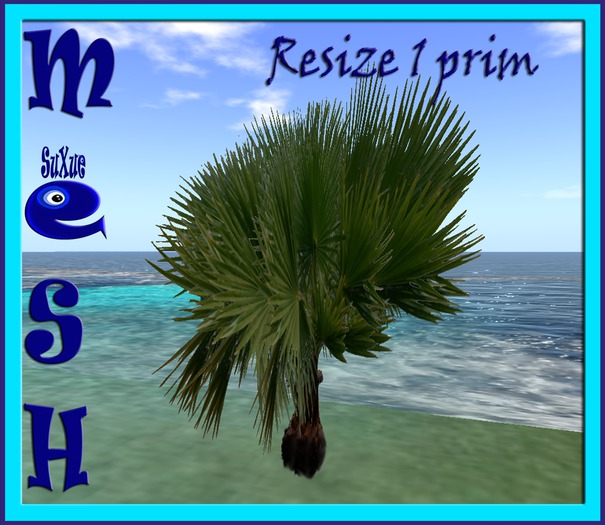 [su] dumping - MESH 1 PRIM PALM Lara Resize