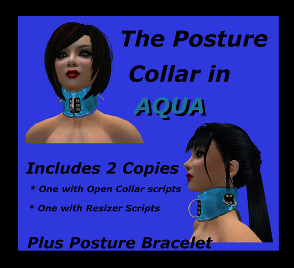 Aqua Posture Collar