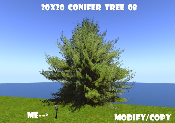 20x20 (1-Prim) Conifer Tree 08