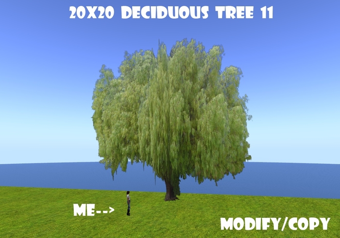 20x20 (1-Prim) Deciduous Tree 11