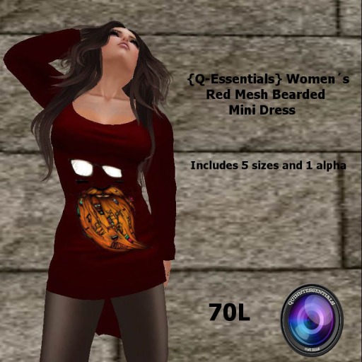 {Q-Essentials} Women's Red Mesh Bearded Mini Dress