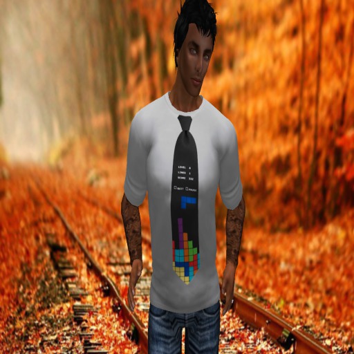 NS2C evolution geek tetris tie  tee Box