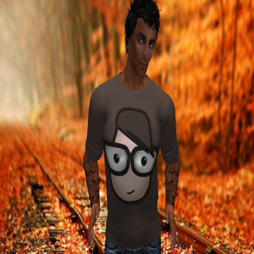NS2C Brown geek  tee Box