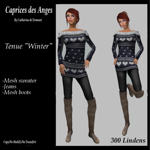 *CdT*  Tenue "Winter" bleue