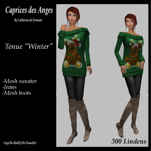 *CdT*  Tenue "Winter" vert