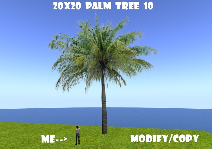 20x20 (1-Prim) Palm Tree 10