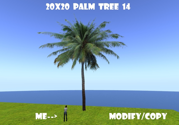 20x20 (1-Prim) Palm Tree 14