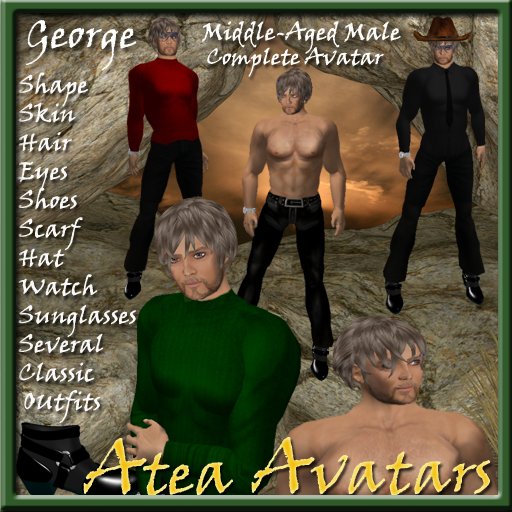 George Avatar Humano Masculino meia-idade