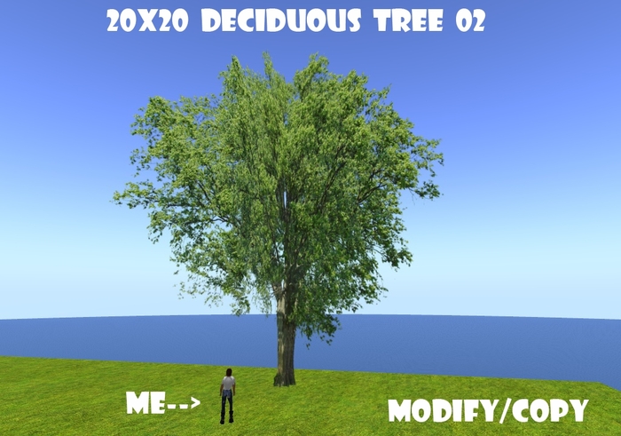 20x20 (1-Prim) Deciduous Tree 02