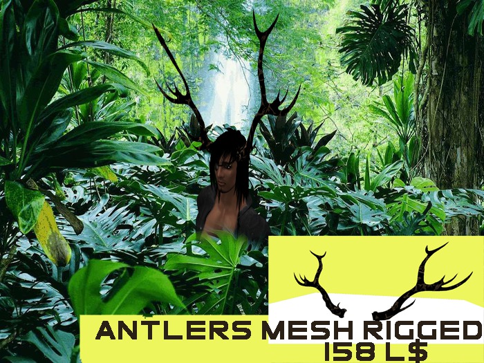 ANTLERS-BOIS DE CERF