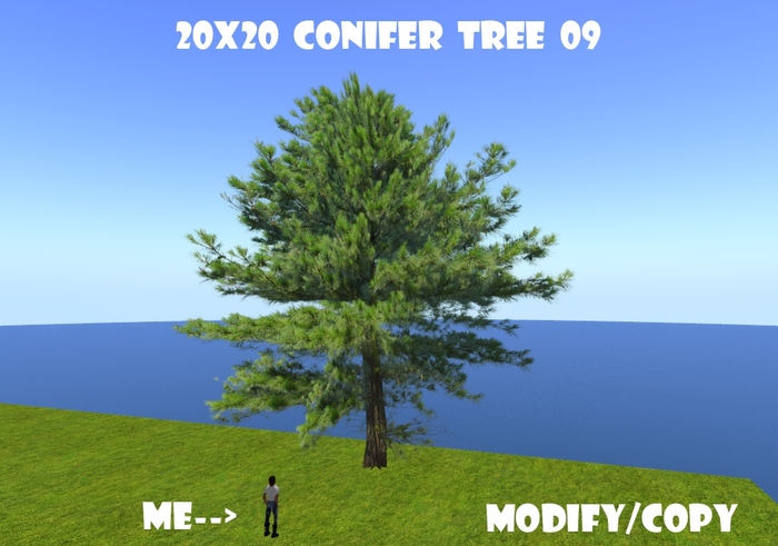 20x20 (1-Prim) Conifer Tree 09