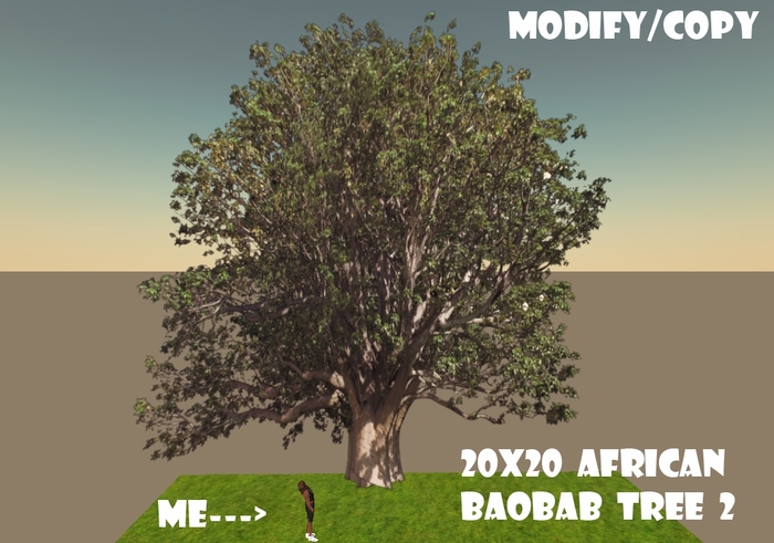 20x20 (1-Prim) African Baobab Tree 2