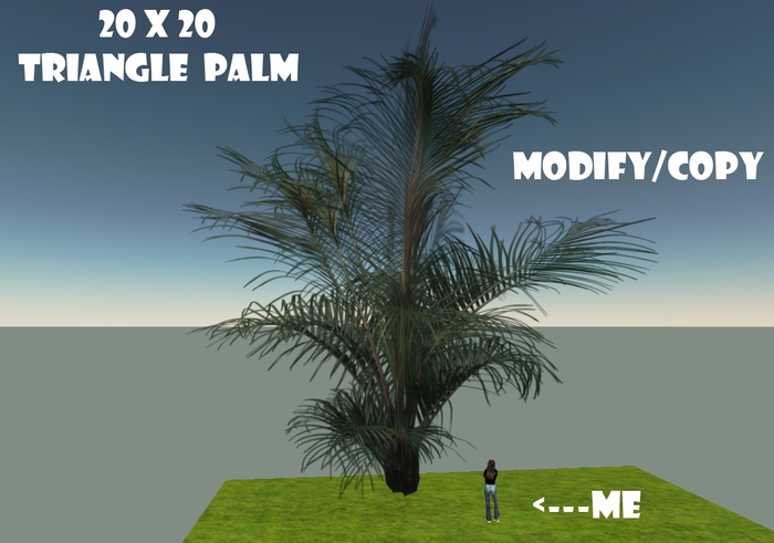 20x20 (1-Prim) Triangle Palm