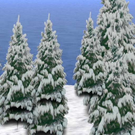 Sassys Winter Wonderland Forest