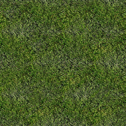 GRASS 12 - TEXTURE - FULL PERM / SEAMLESS