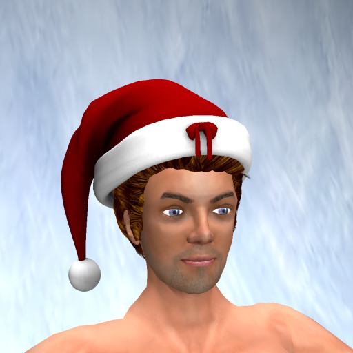 Pixellations ~ Santa Hat [MESH] (boxed)