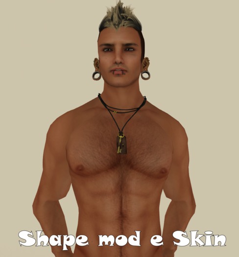 SHAPE MOD AND SKIN A