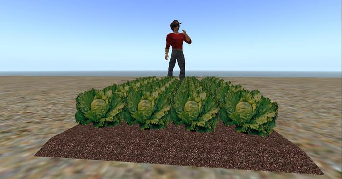 Lettuce Patch Garden -one prim - particle display 