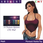 [AMBI] Mesh Montauk Hankie Top (BOXED)