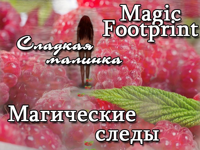 Raspberry Footprint