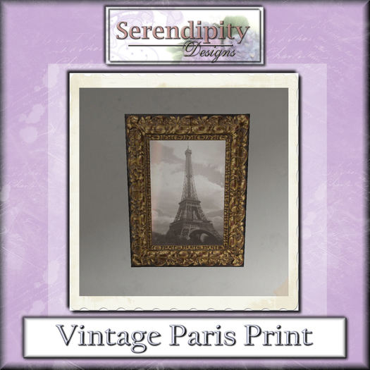 Serendipity Designs -Vintage Paris Print