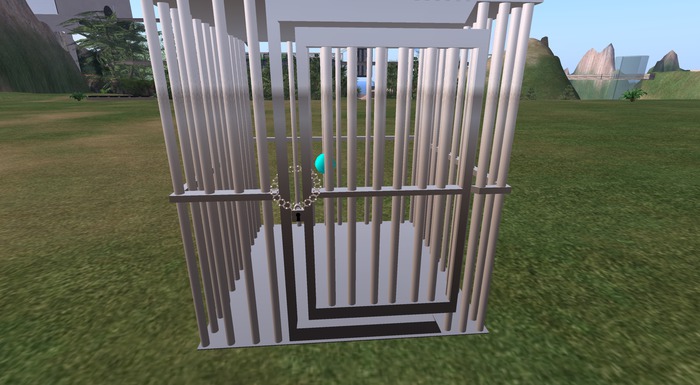 prizon cage