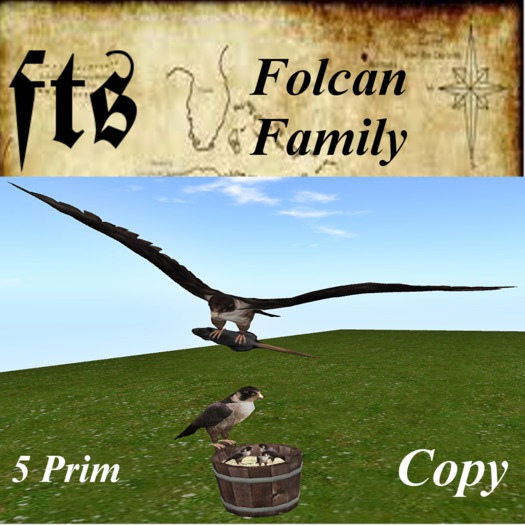 Falcon Family  (MP)