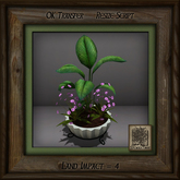Stone Planter C Mixed Plant Av
