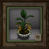Simple Elegance Pine Mission Planter F