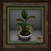 Stone Planter C Mixed Plant Aa