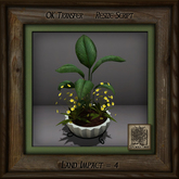 Stone Planter C Mixed Plant Am