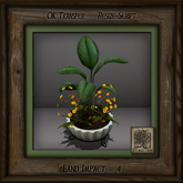 Stone Planter C Mixed Plant Ao