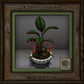 Stone Planter C Mixed Plant Af