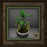 Stone Planter C Mixed Plant As