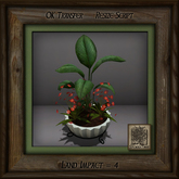 Stone Planter C Mixed Plant Ar