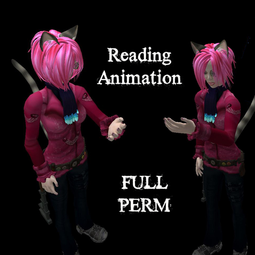 Full Perm Reading Animation