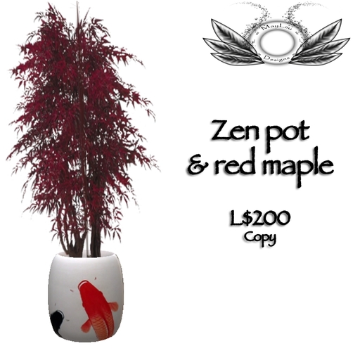 Zen pot & red maple