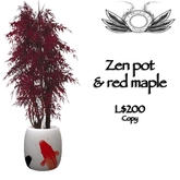 Zen pot & red maple