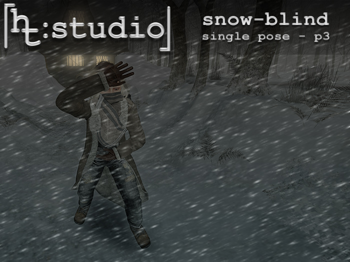[ht:studio] snow blind - single pose