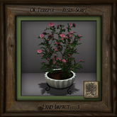 Simple Elegance Pine Mission Planter F