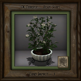 Stone Planter C  Floral Af