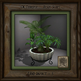 Stone Planter C Foliage Group Ad